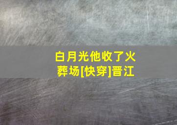 白月光他收了火葬场[快穿]晋江